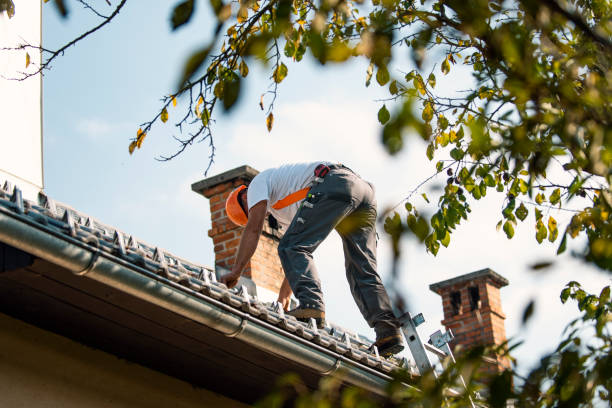 Steel Roofing in San Carlos, TX
