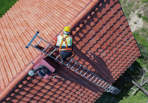 Best Roof Insulation Installation  in San Carlos, TX